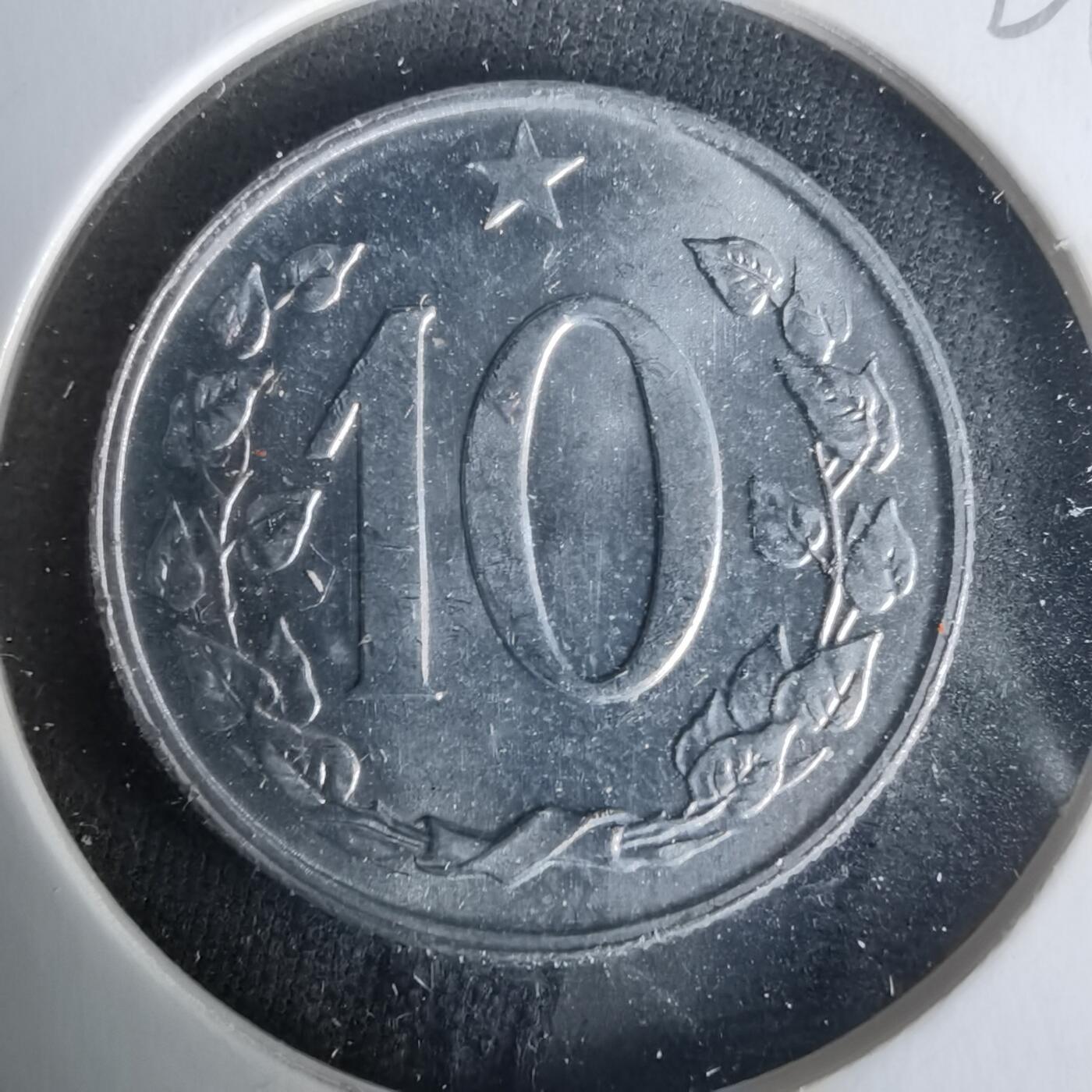 沼泽如烟--第1021场