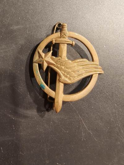 老王徽章第187期 - 法国空军特种部队贝雷帽徽