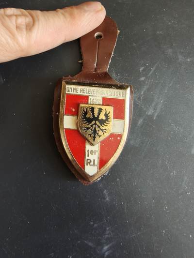 老王徽章第187期 - 法国陆军第1步兵团证章