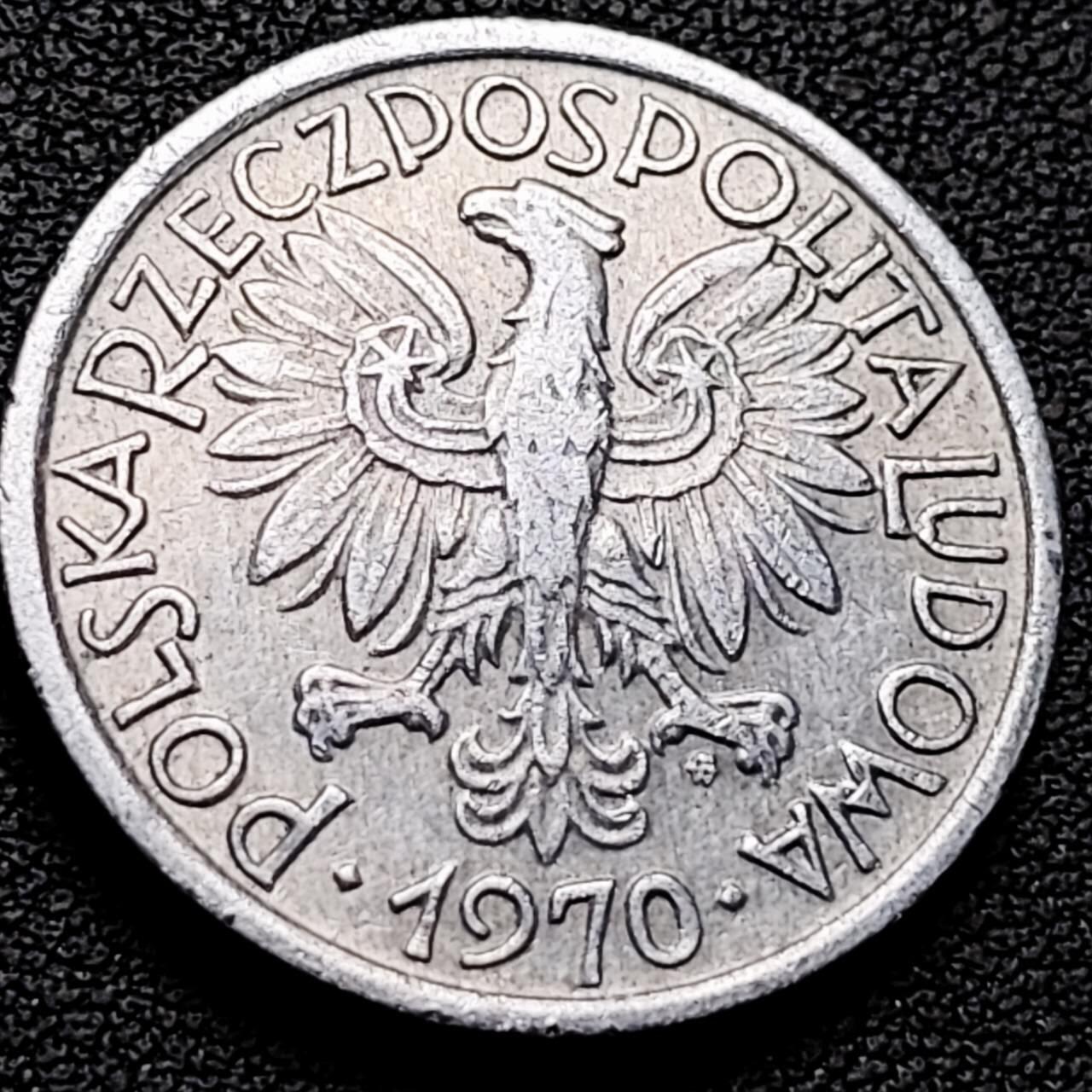 泉币菌-第211场-拍品多 请提前出价