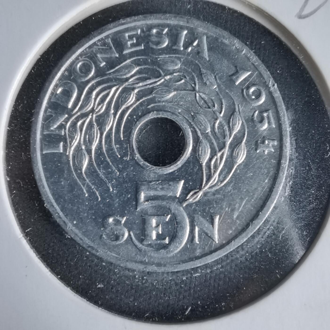 沼泽如烟--第1021场