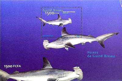 ↓君缘收藏762期☞钱币邮品↓无佣金、可寄存、满30元包邮  - 几内亚比绍邮票，2002年海洋鱼类·双髻鲨邮票小型张