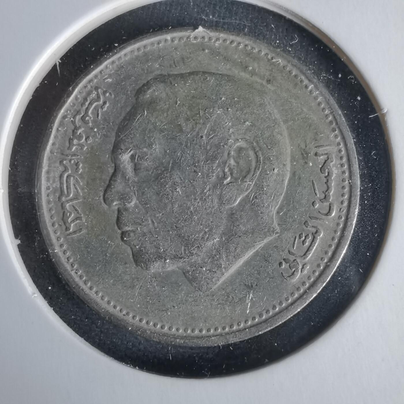 沼泽如烟--第1021场