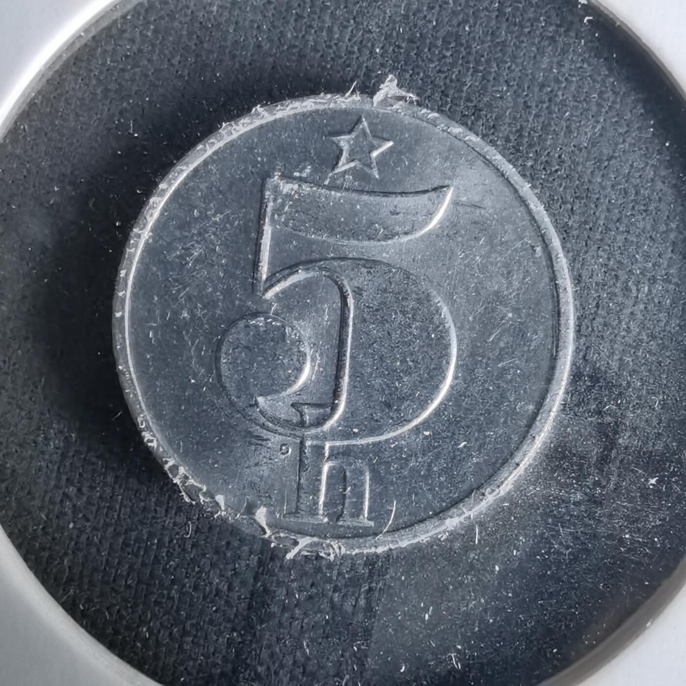 沼泽如烟--第1021场