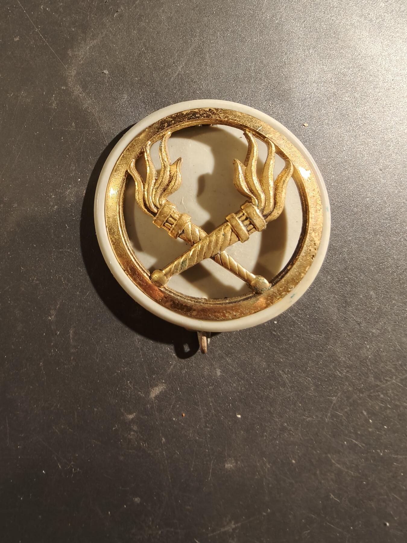 老王徽章第187期