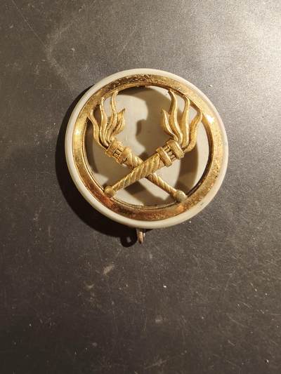 老王徽章第187期 - 法国燃料部队贝雷帽徽