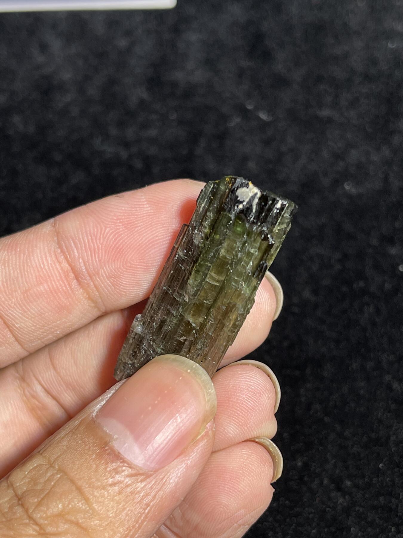 🪙北京琉璃厂-京城古泉汇🪙春季钱币邮票杂项专场拍卖-第一期