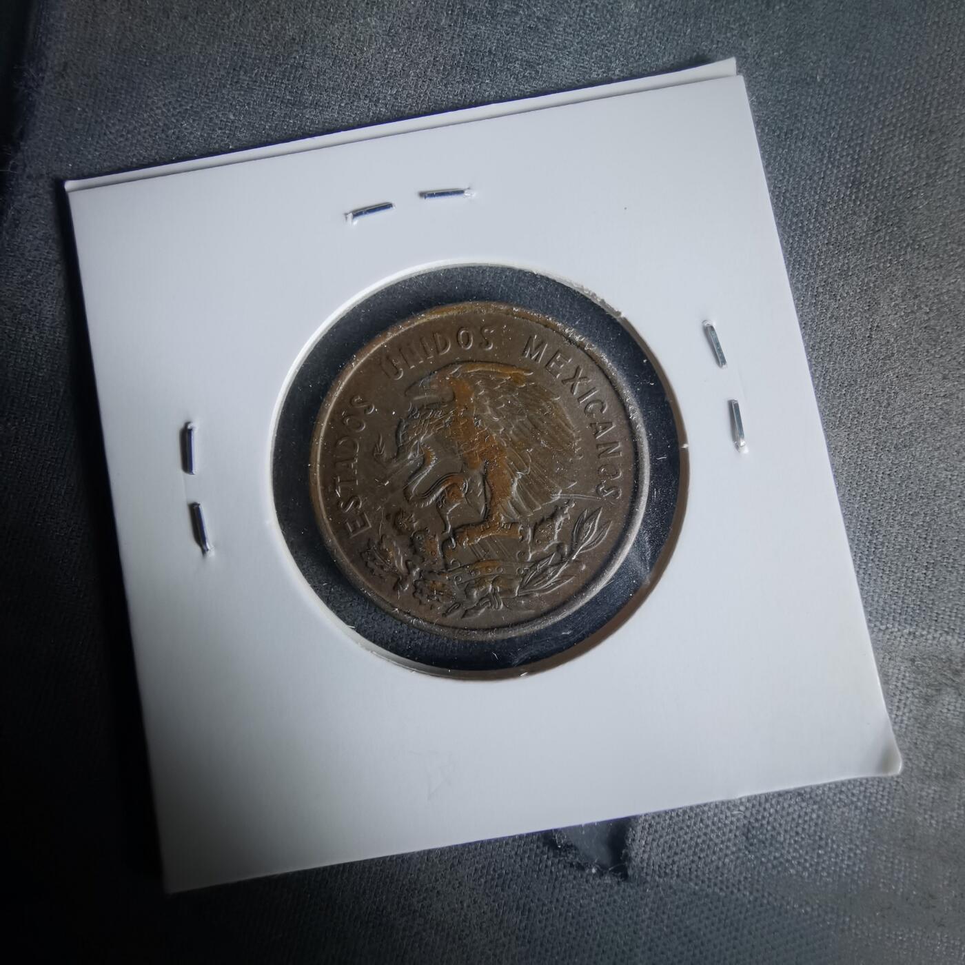 沼泽如烟--第1021场