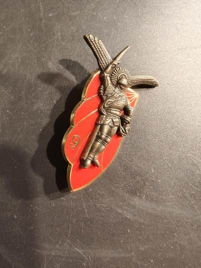 老王徽章第187期 - 法国第9伞降猎兵团证章