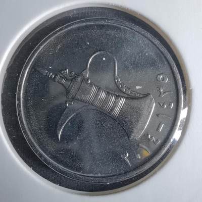 沼泽如烟--第1025场 - 阿联酋