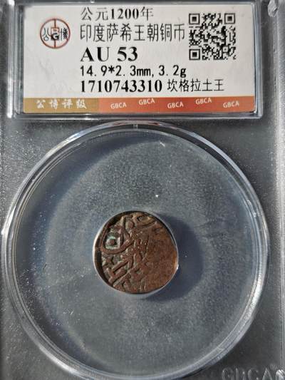 121期新疆红钱粟特钱币丝路钱币专场 - 印度萨希王朝铜币