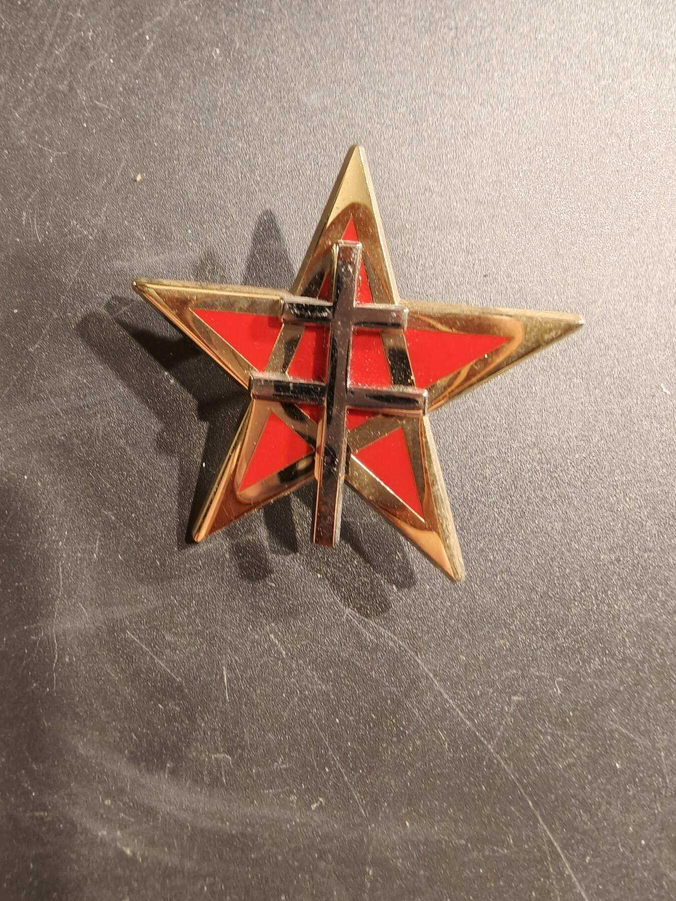 老王徽章第187期 法国陆军第1斯帕希骑兵团证章