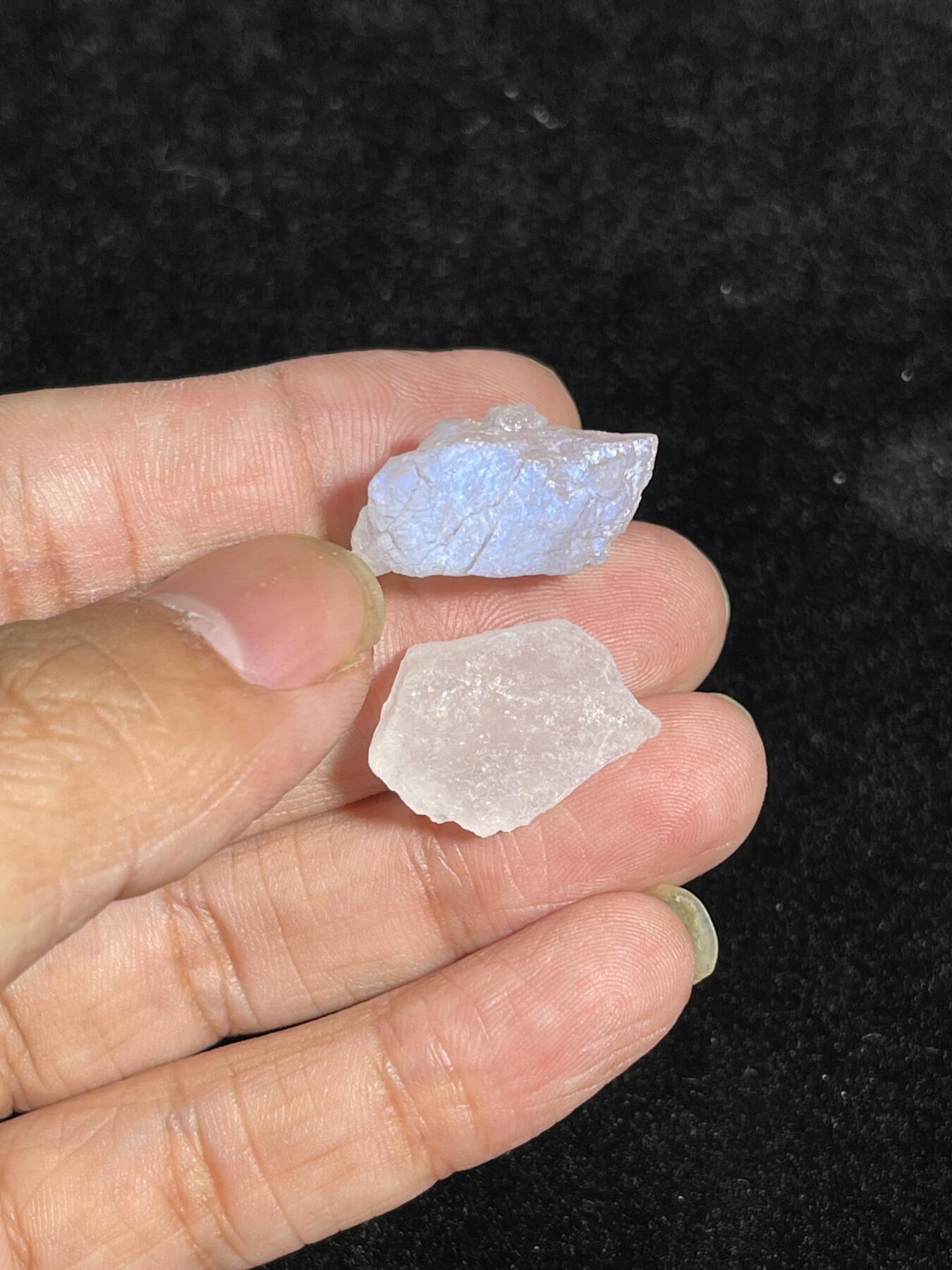 🪙北京琉璃厂-京城古泉汇🪙春季钱币邮票杂项专场拍卖-第一期