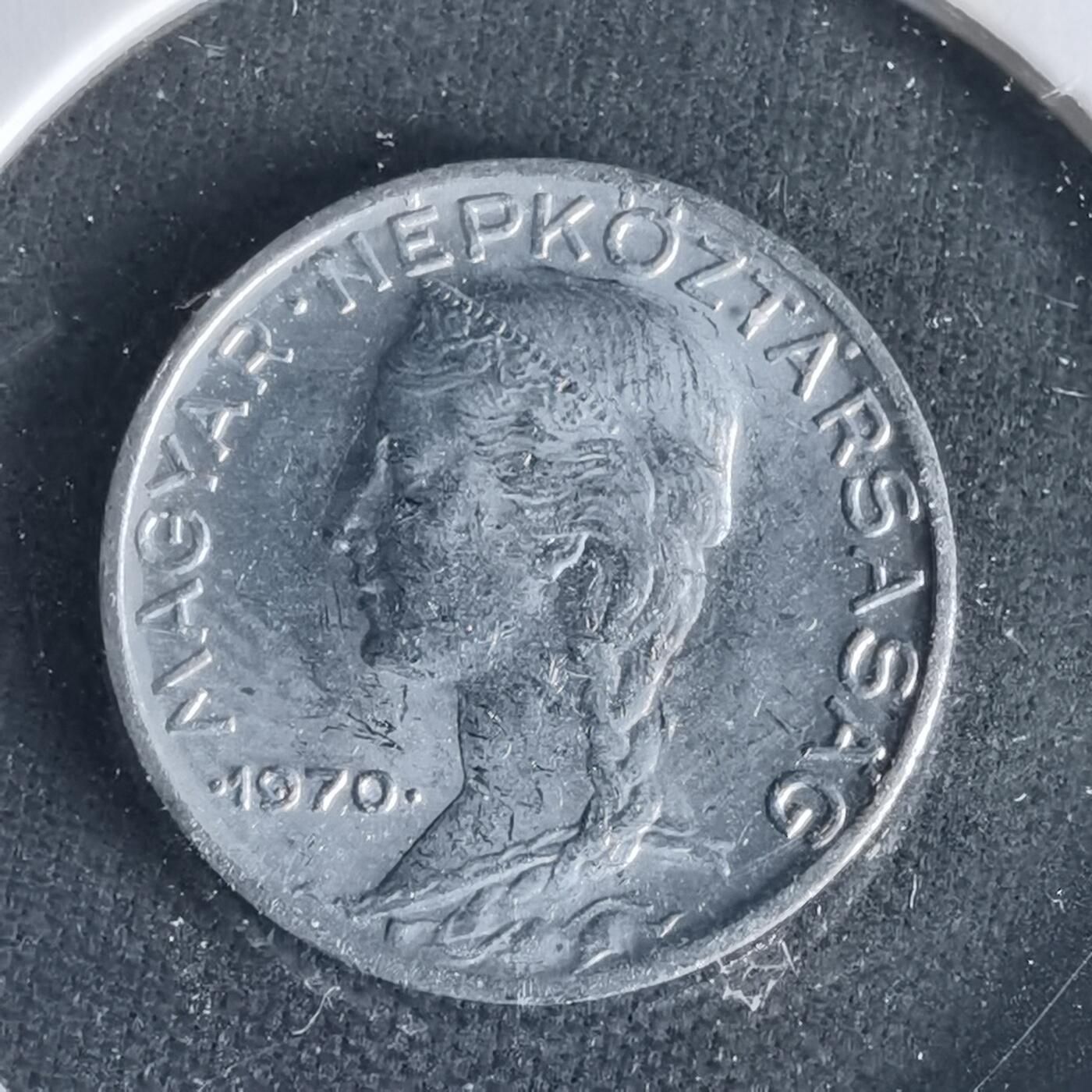 沼泽如烟--第1021场