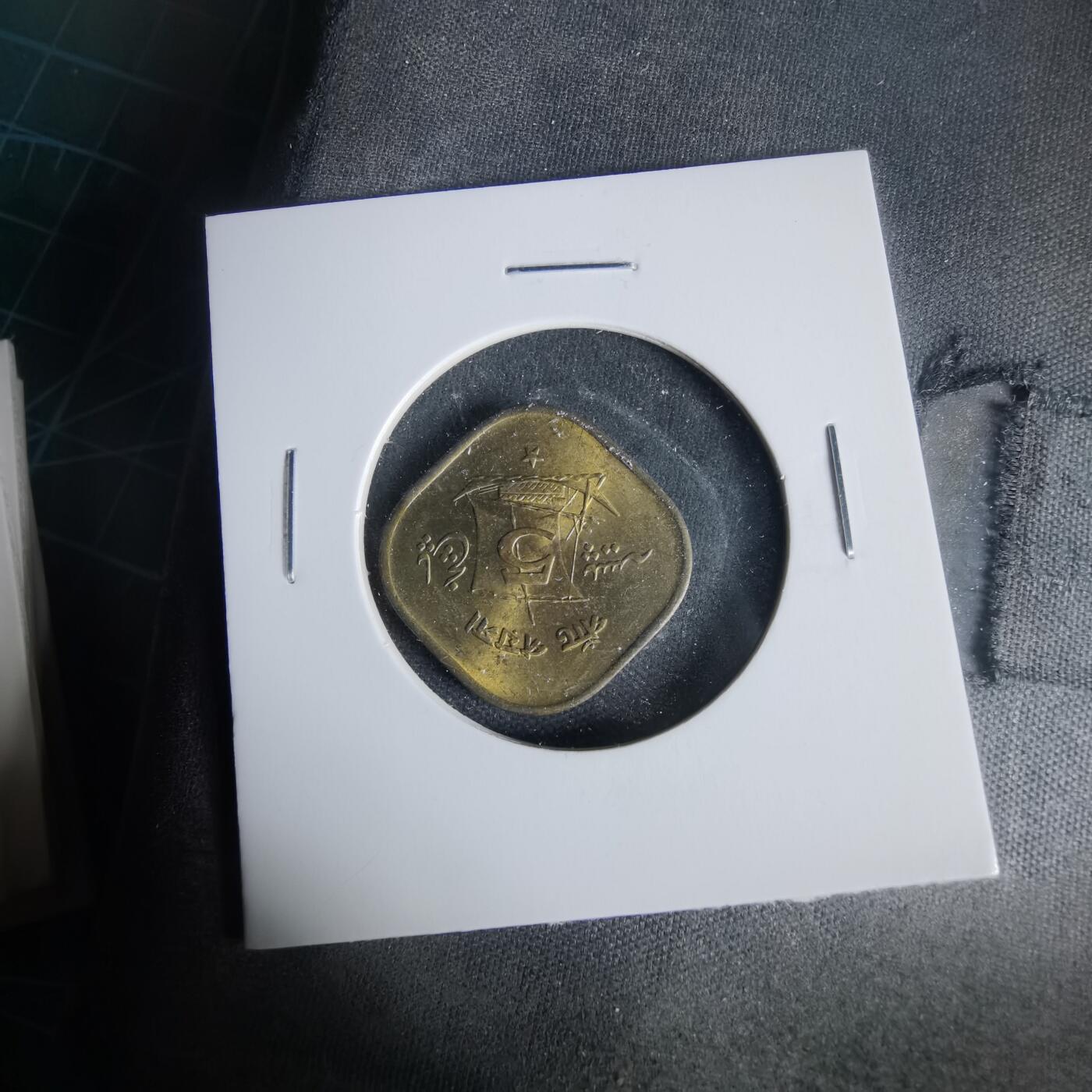 沼泽如烟--第1021场