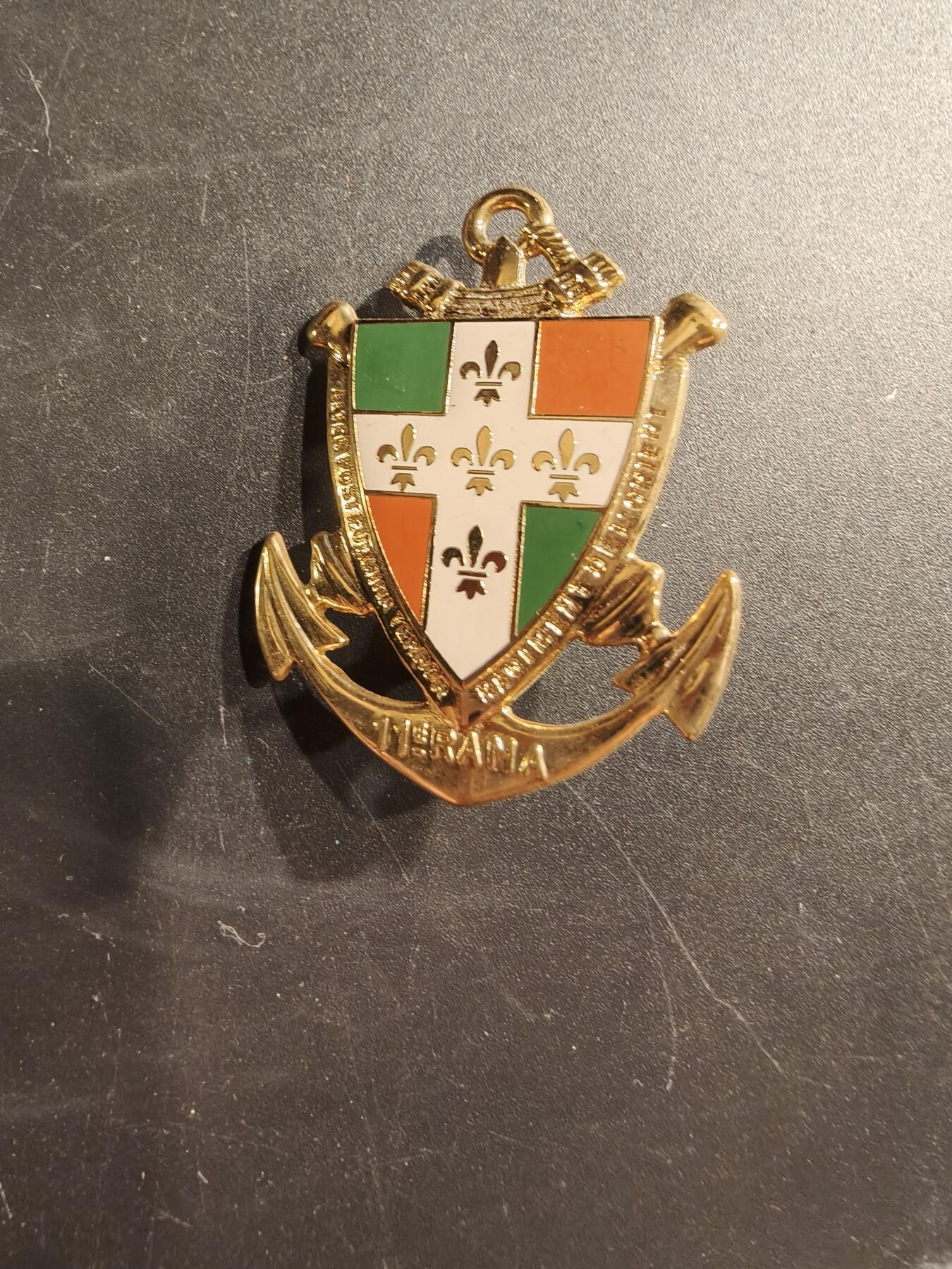 老王徽章第187期