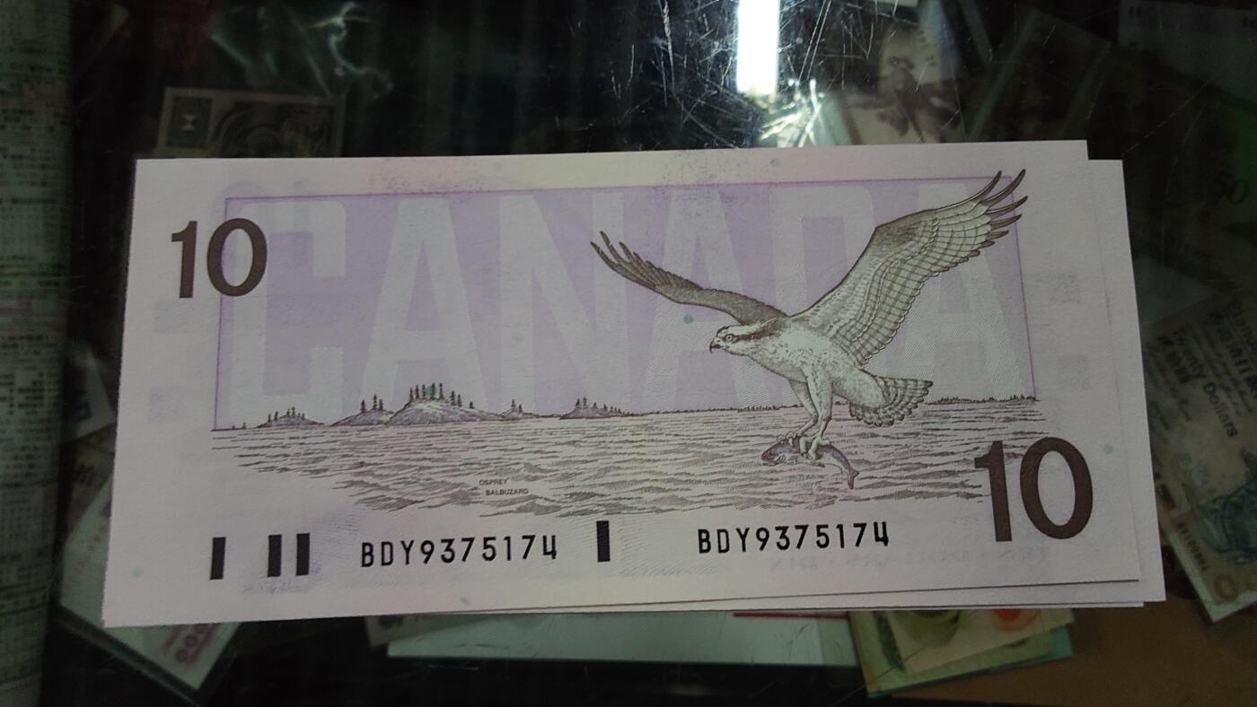 【陆续更新】世界钱币～微拍第240期暨2026年第21期  部分尾货整理陆续低价起拍清仓