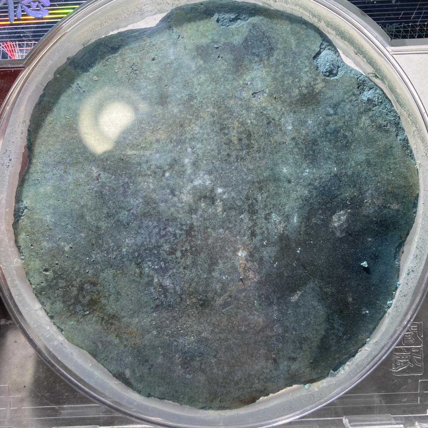 121期新疆红钱粟特钱币丝路钱币专场 铜镜