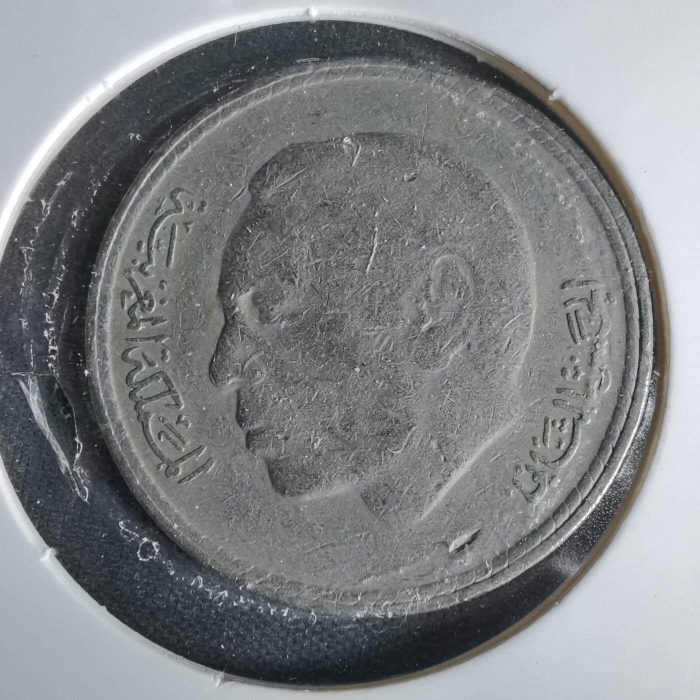 沼泽如烟--第1021场