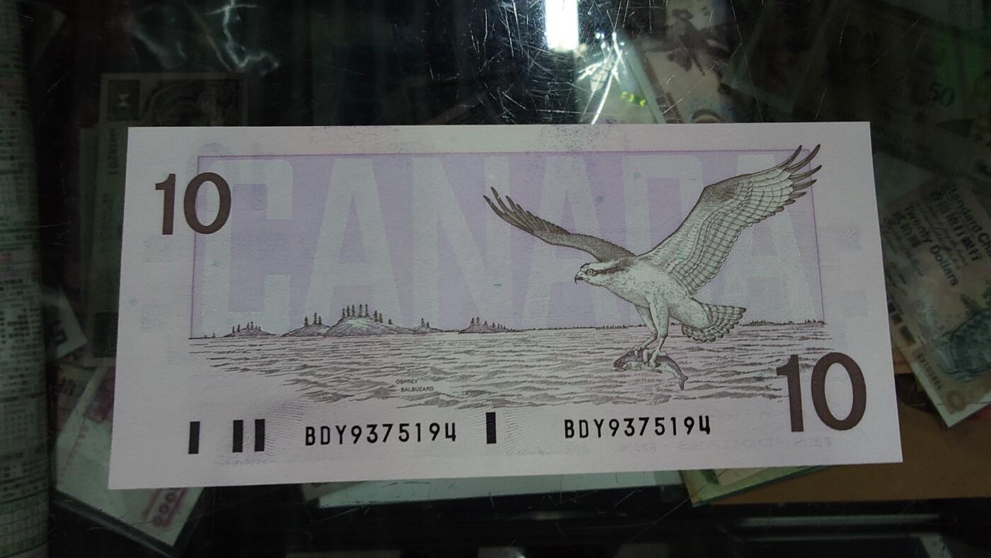 【陆续更新】世界钱币～微拍第240期暨2026年第21期  部分尾货整理陆续低价起拍清仓