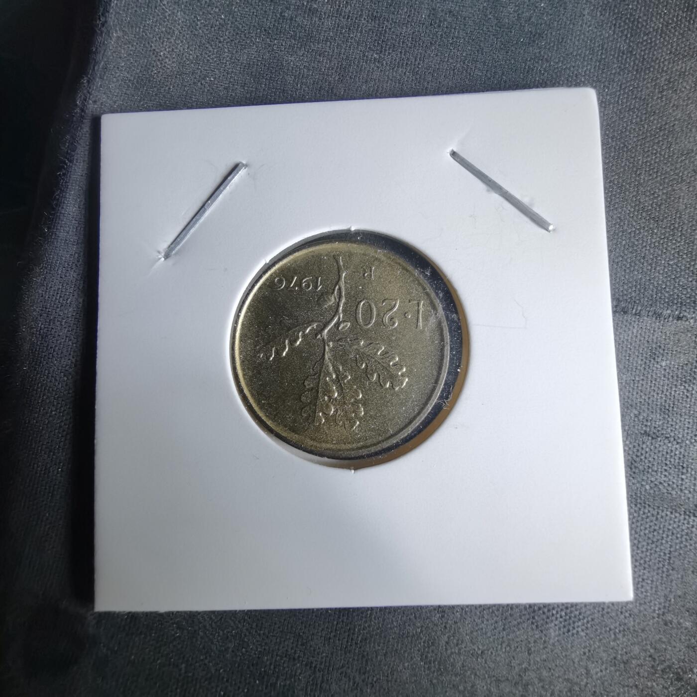 沼泽如烟--第1025场