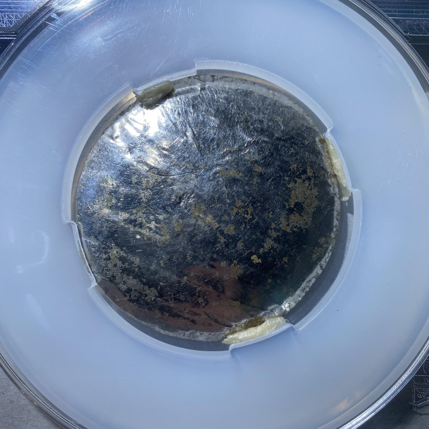 121期新疆红钱粟特钱币丝路钱币专场 铜镜