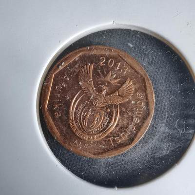 沼泽如烟--第1025场 - 南非2013年十分