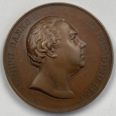 掌中浮雕-藏着的欧洲第055场 - 1919年英国皇家园艺协会铜章，38mm