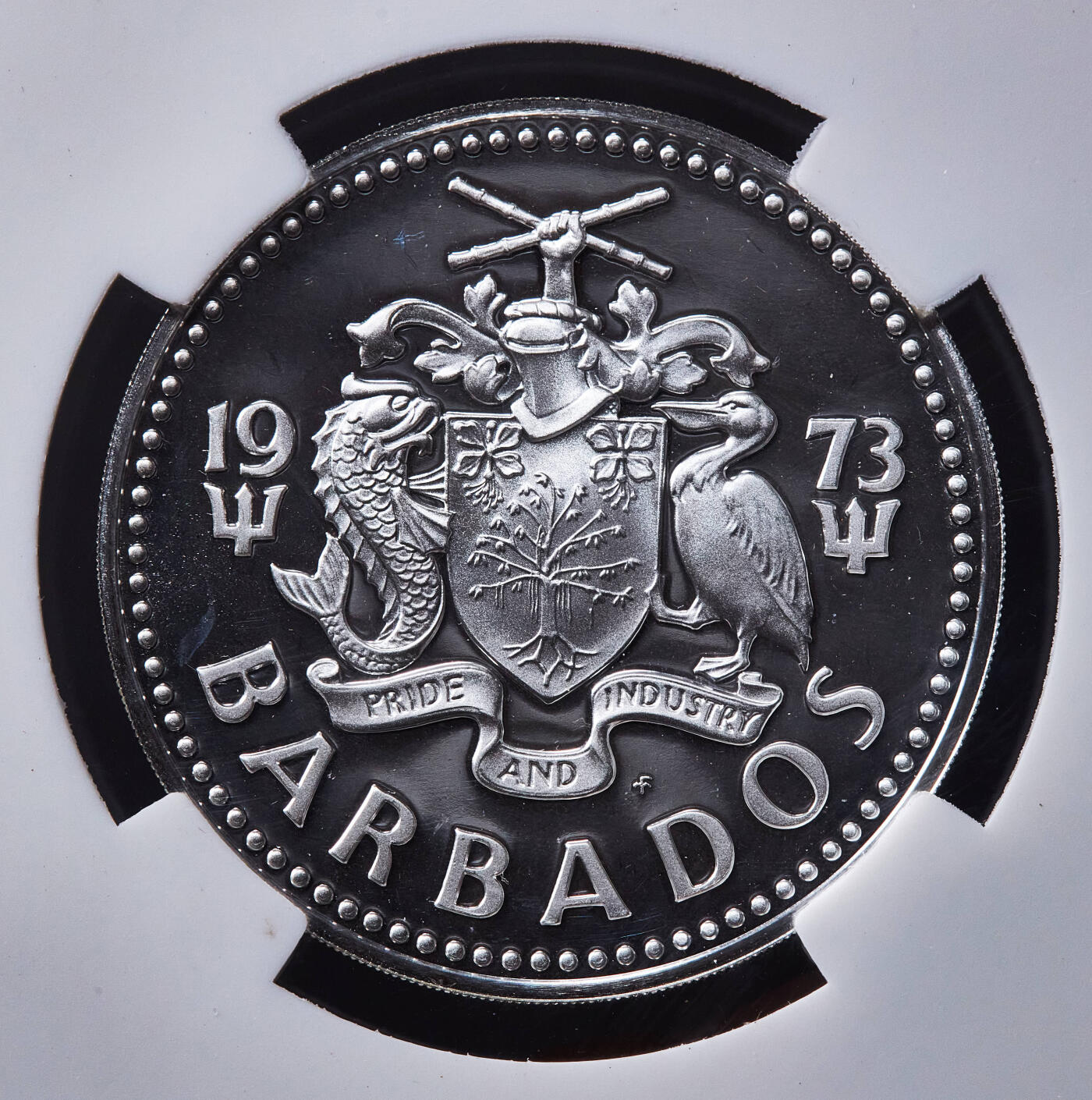 【俄甄集藏】2026年(049)03-18星期三 晚 19:30 全场包邮 巴巴多斯1973年P版海神10元直径大银币，信泰 PF67UC，重37.9克，925银，富兰克林造币厂出品