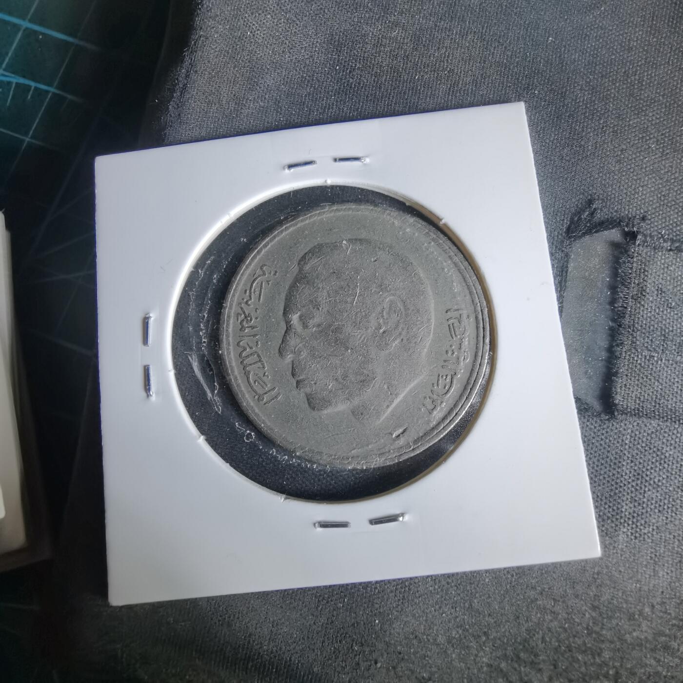 沼泽如烟--第1021场