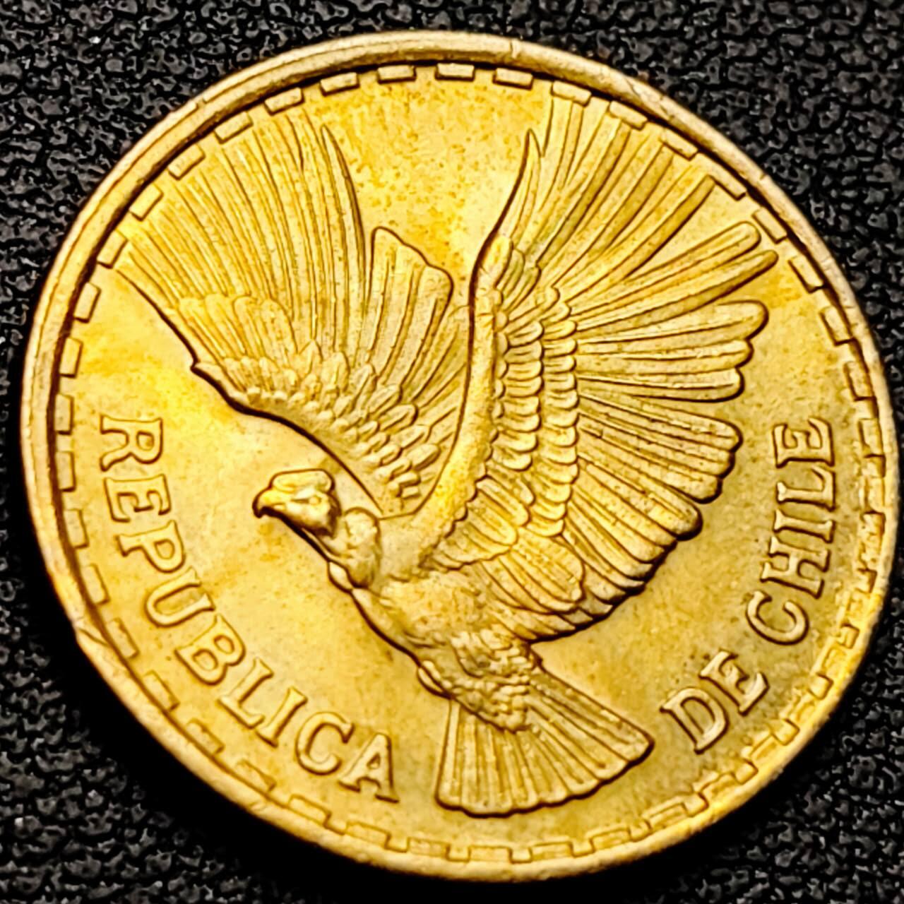 泉币菌-第211场-拍品多 请提前出价