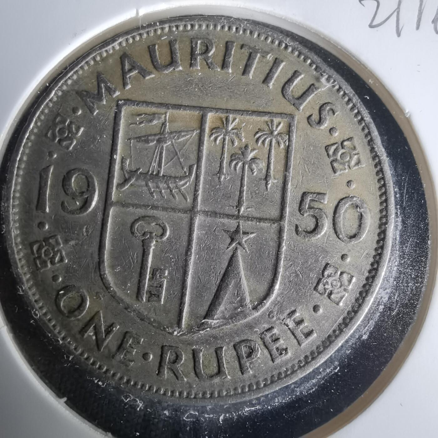 沼泽如烟--第1021场