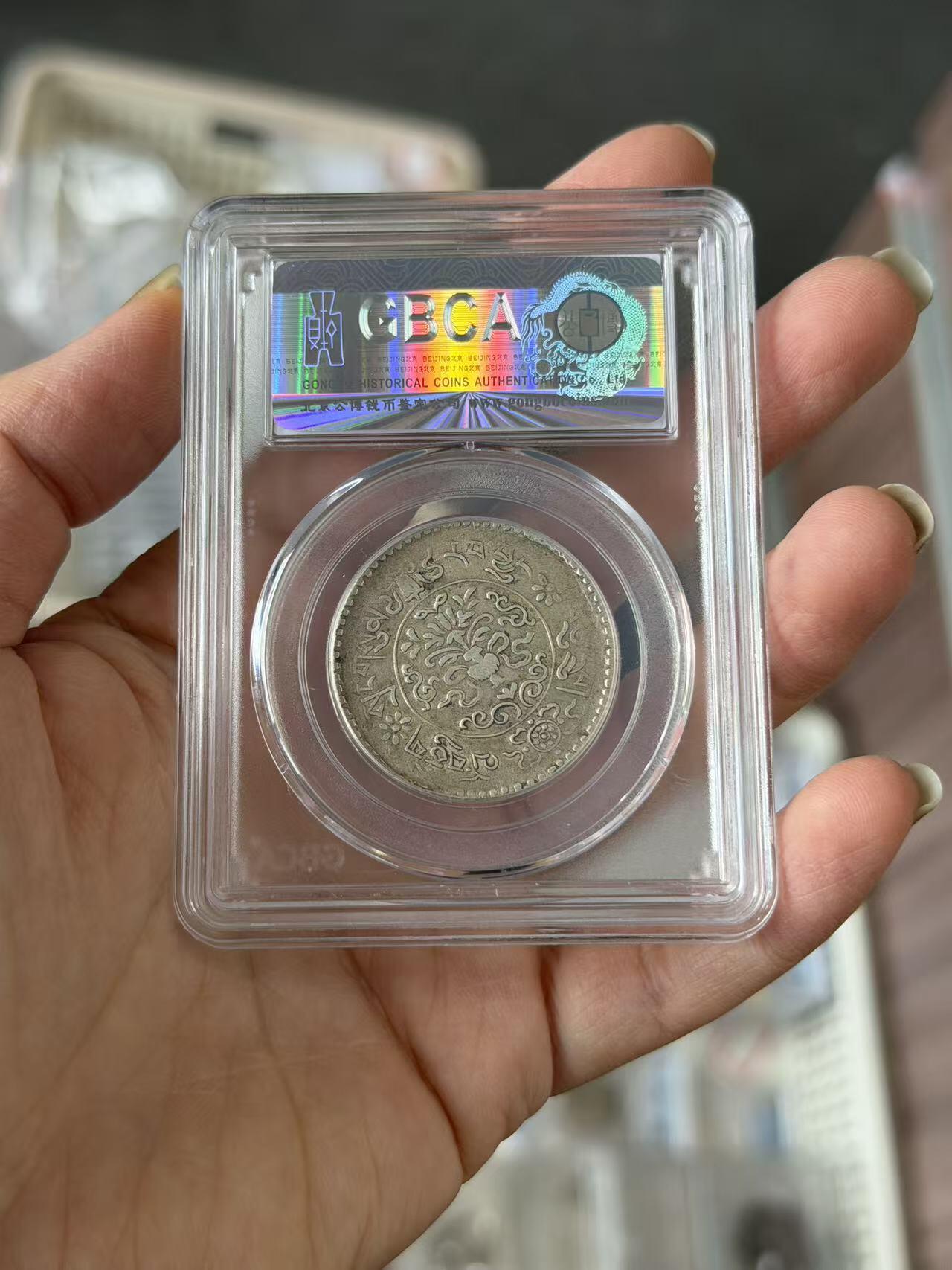 公博50西藏三两桑松果木