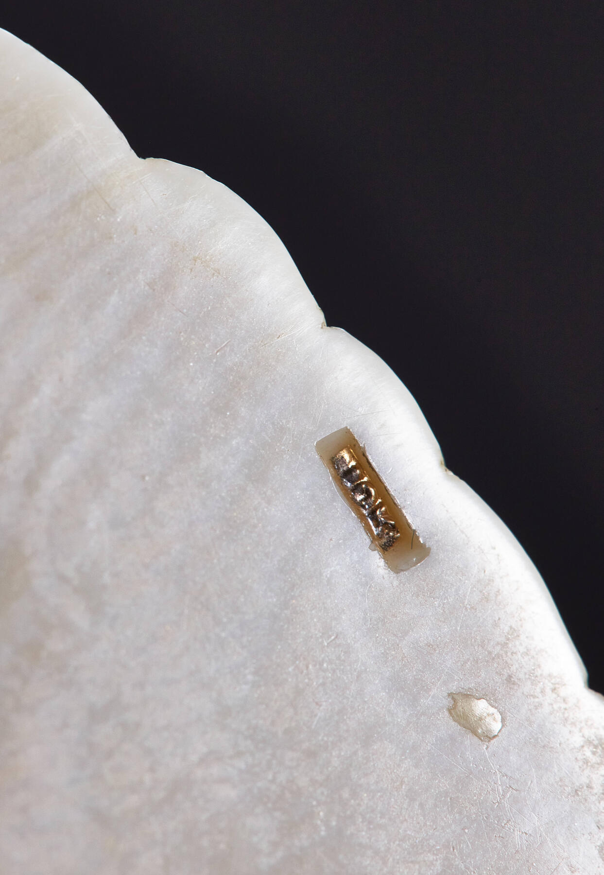 【俄甄集藏】2026年(049)03-18星期三 晚 19:30 全场包邮 欧洲回流白色珍贵材料雕刻树叶形女士项链，展开总长度：440mm，珠直径：8mm，挂件尺寸90mm×50mm，重量：37.5克，保存完好，无裂无笑