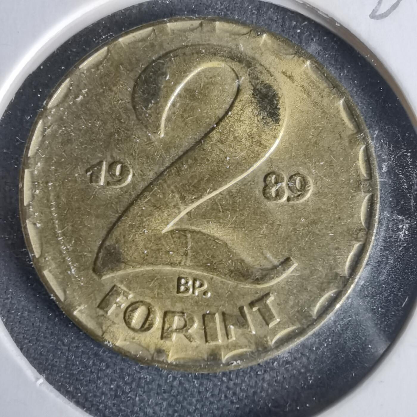 沼泽如烟--第1021场