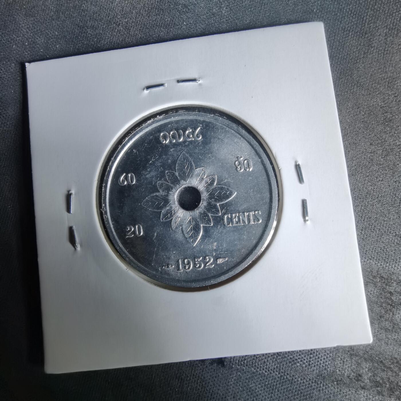 沼泽如烟--第1021场