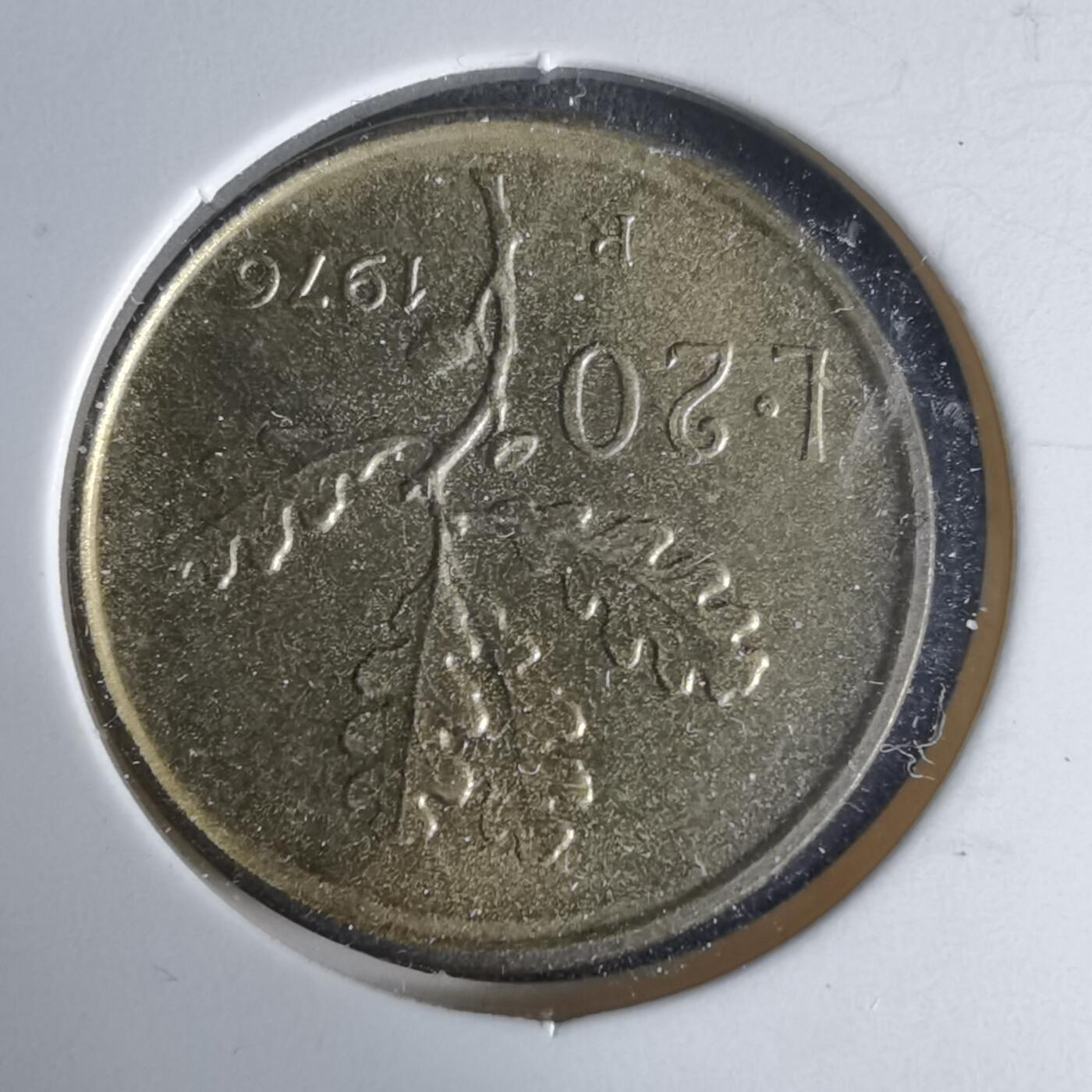 沼泽如烟--第1025场