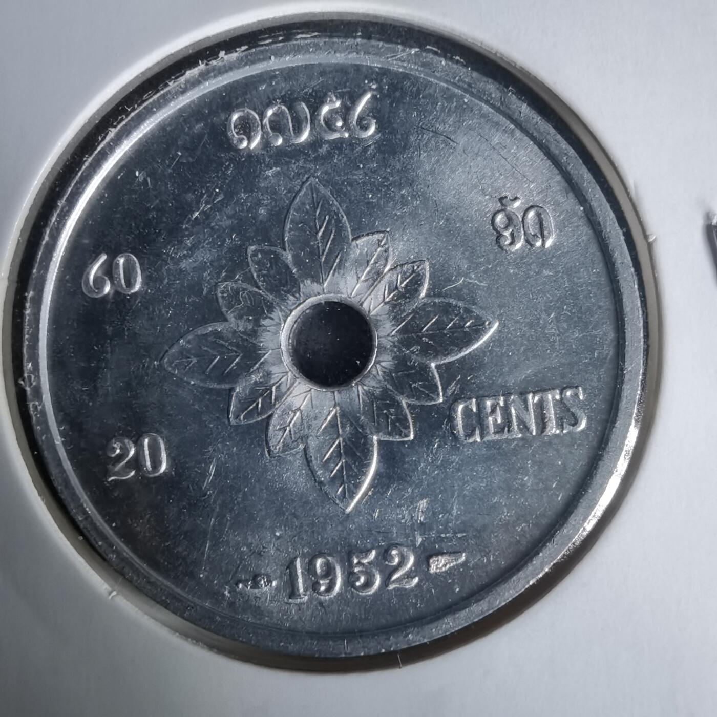 沼泽如烟--第1021场