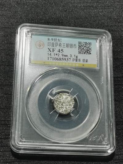 天下钱庄专场欢迎参拍 - 萨希王朝银币