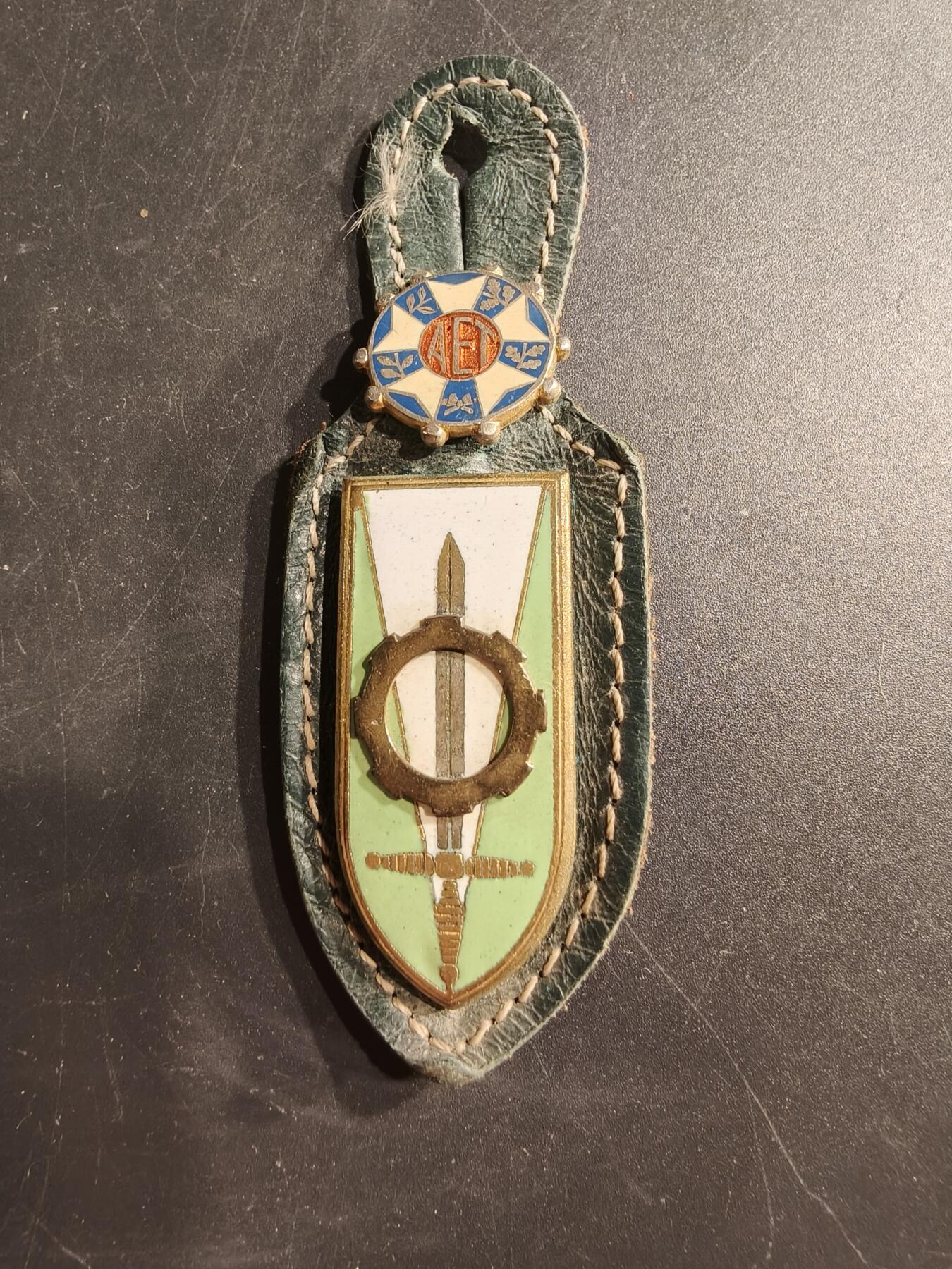 老王徽章第187期 法国圣西尔军事专科学校汽车运输组证章