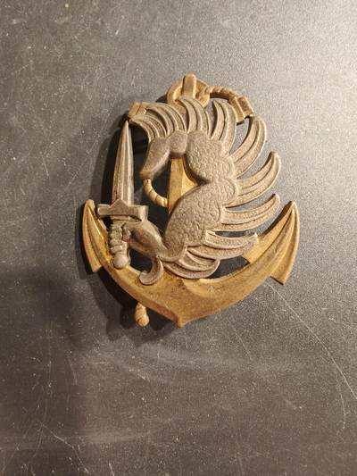 老王徽章第187期 - 法国海军陆战队第1伞降步兵团证章