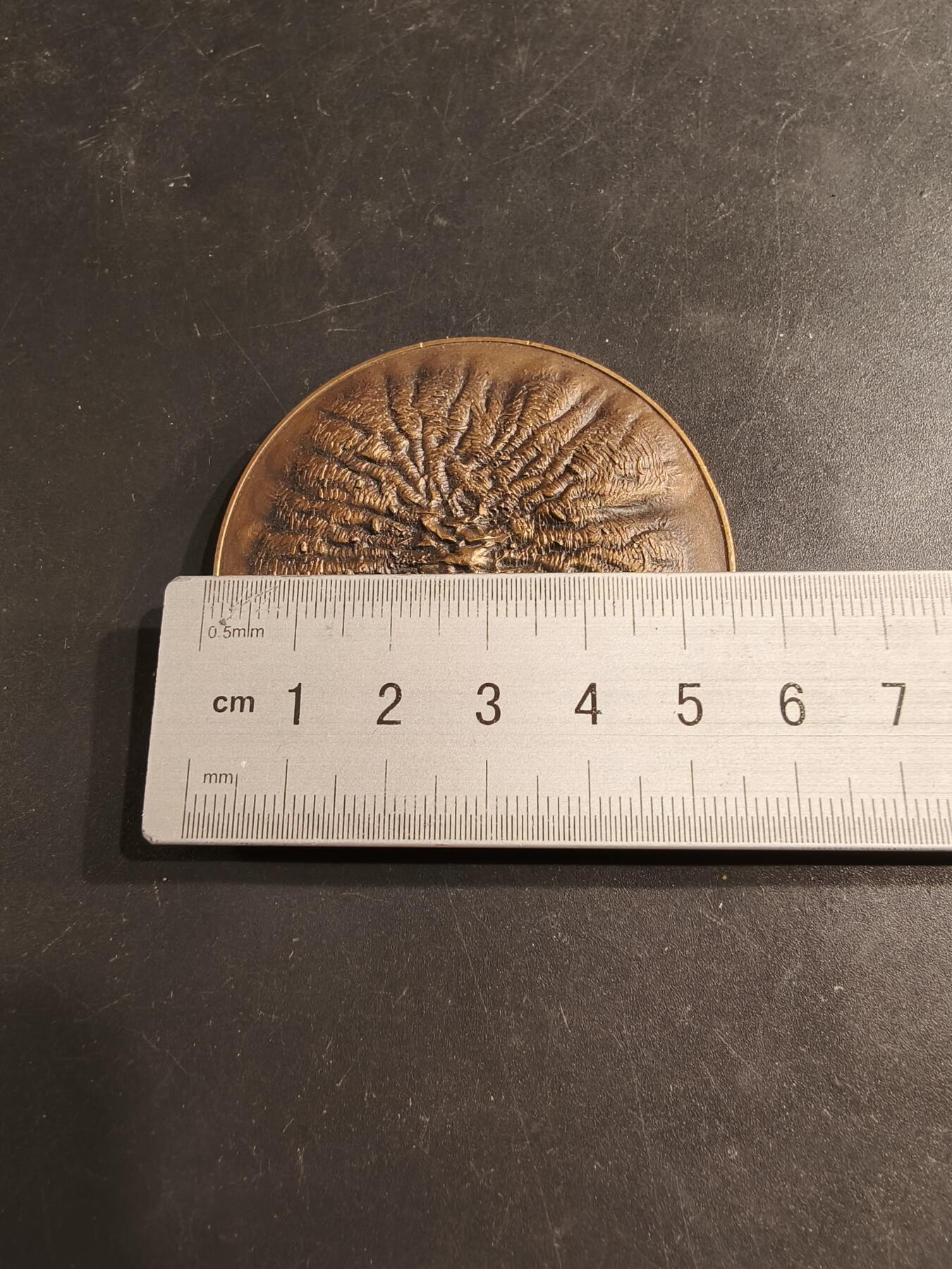 老王徽章第187期 辉瑞公司大铜章     直径56mm    重量66g