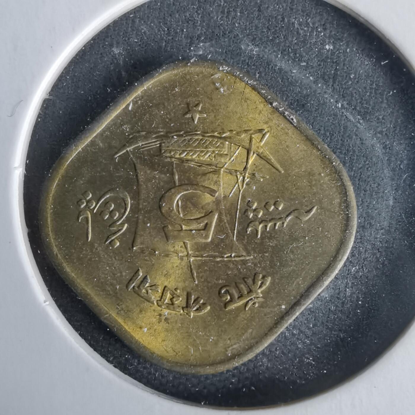 沼泽如烟--第1021场