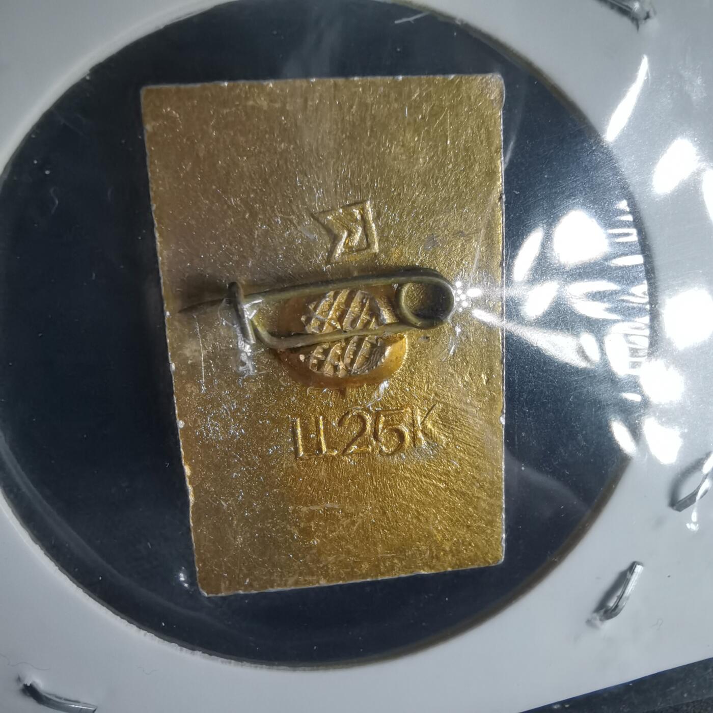 沼泽如烟--第1025场 纪念章