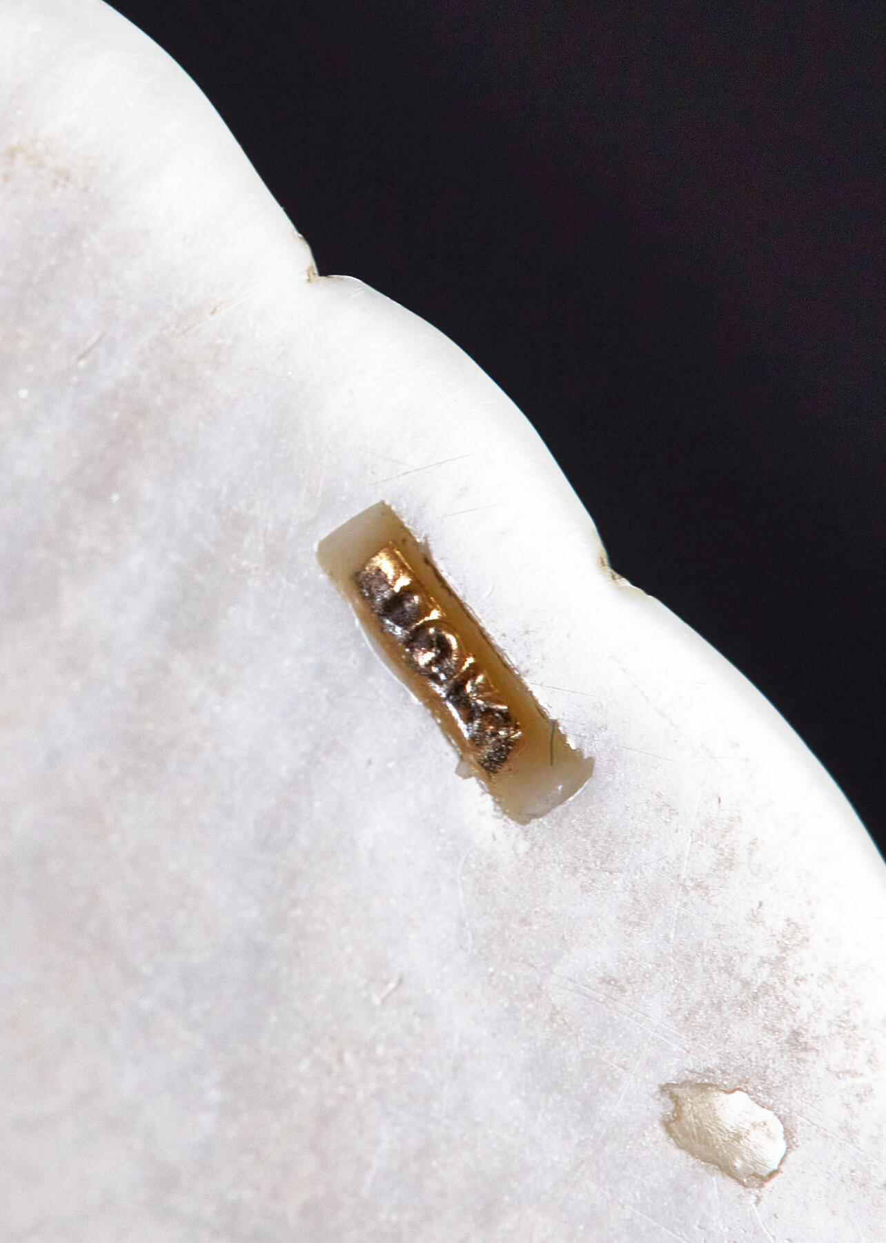 【俄甄集藏】2026年(049)03-18星期三 晚 19:30 全场包邮 欧洲回流白色珍贵材料雕刻树叶形女士项链，展开总长度：440mm，珠直径：8mm，挂件尺寸90mm×50mm，重量：37.5克，保存完好，无裂无笑