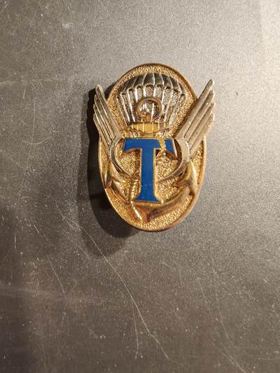 老王徽章第187期 - 法国陆军第342伞降通信连证章