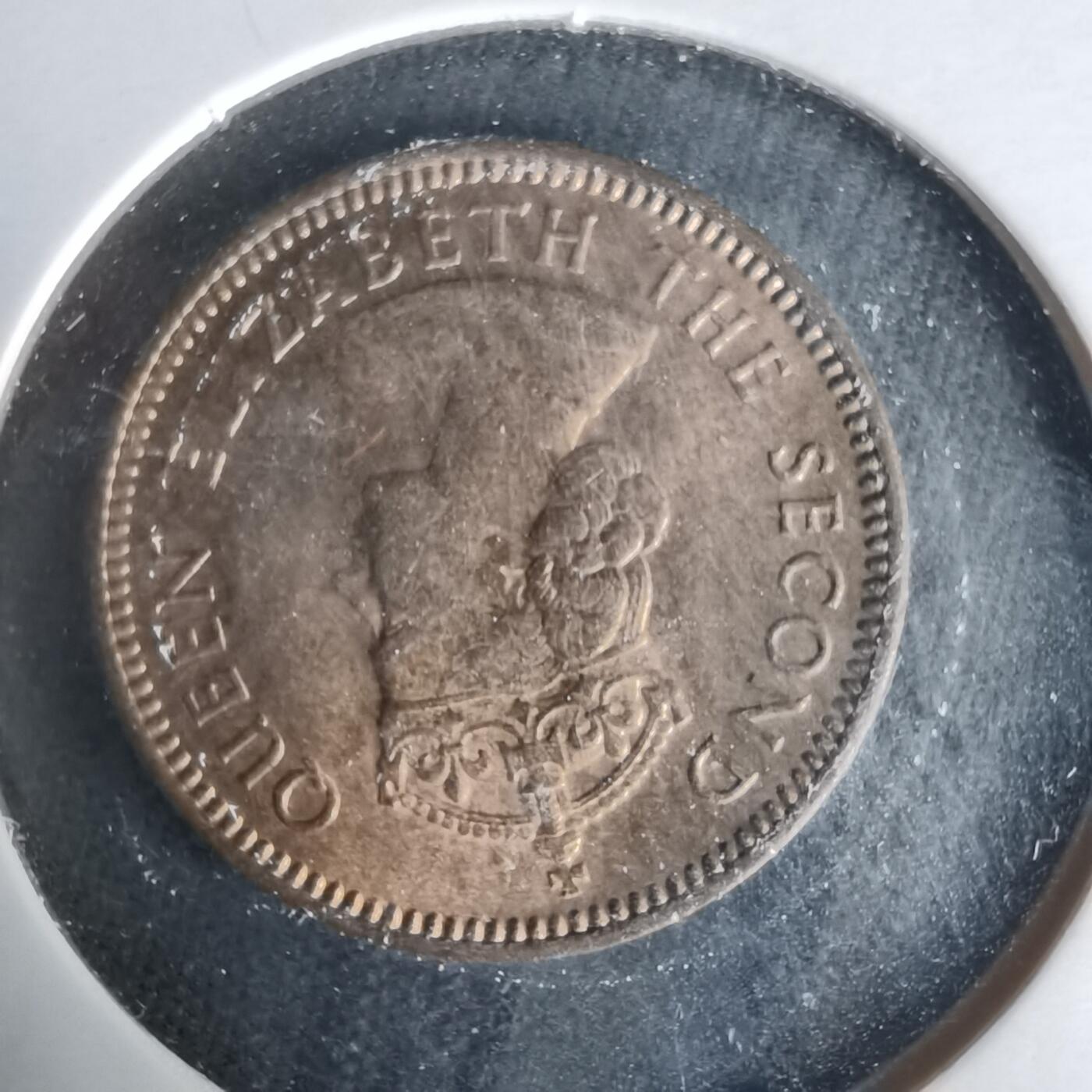 沼泽如烟--第1021场