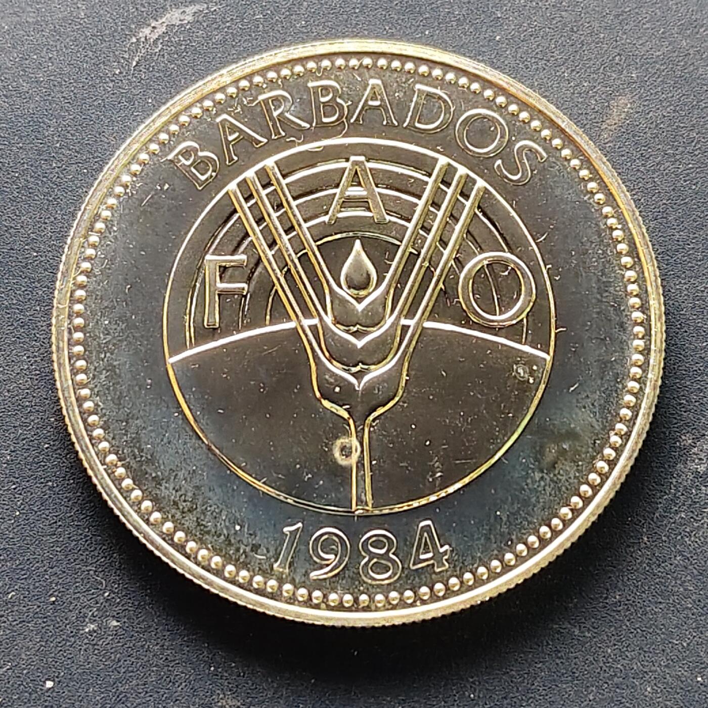 【全场包邮】纯粹捡漏拍513场