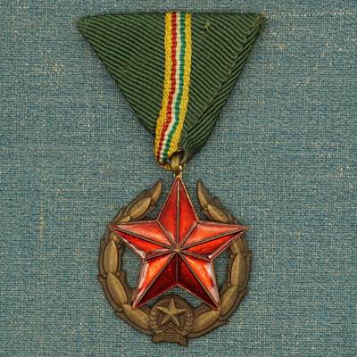 【涛泉堂】第40期（3月22日）勋奖章徽章专场拍卖 - 匈牙利边防军铜级奖章