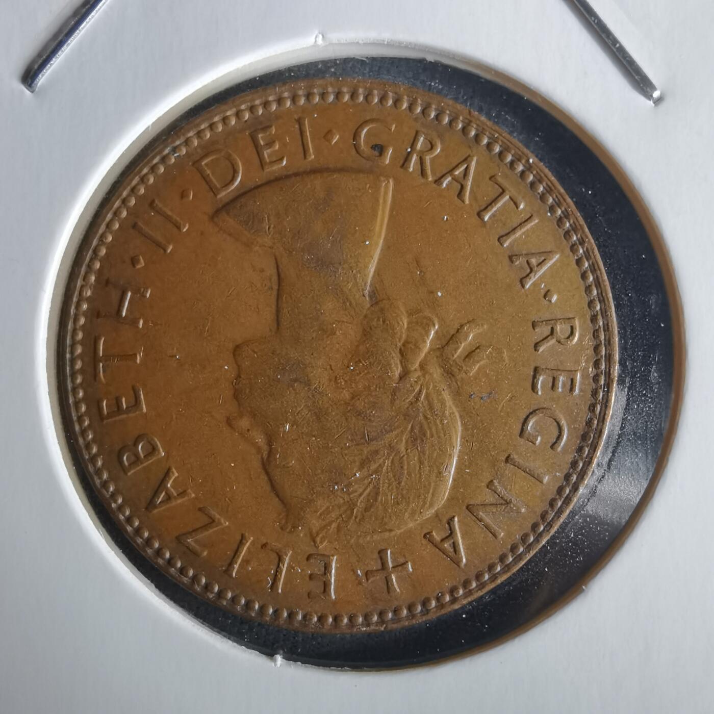 沼泽如烟--第1026场